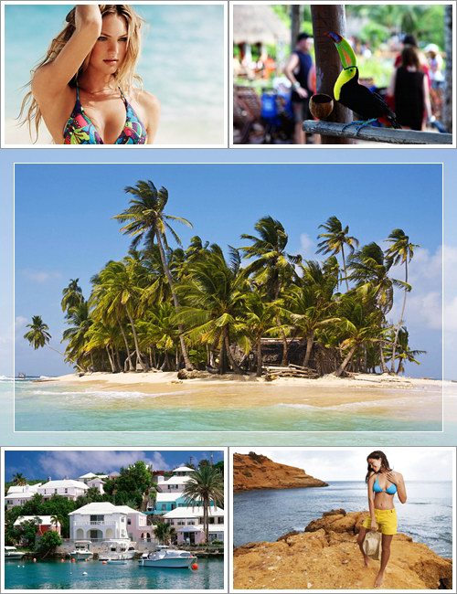 Tropical Paradise