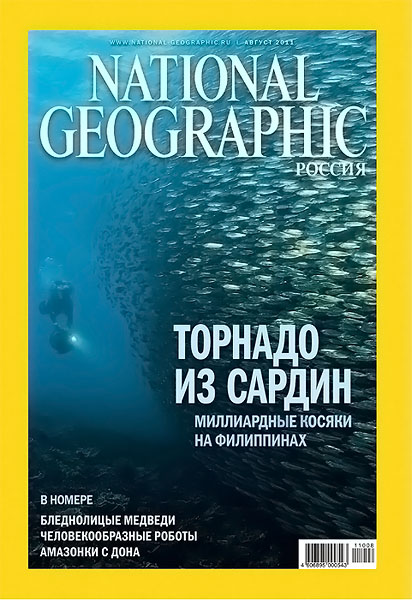 журнал