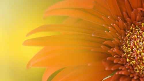 Computer Desktop Wallpapers Collection. www.cwer.ru