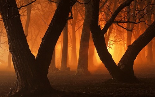 Computer Desktop Wallpapers Collection. www.cwer.ru