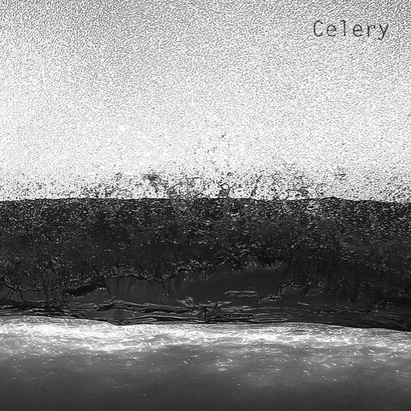 Celery. Celery