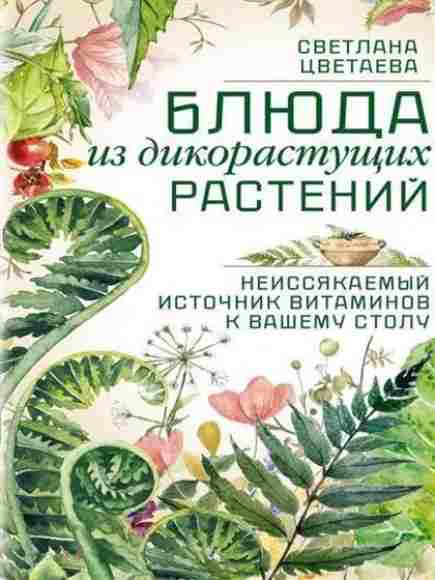 bluda-iz-dikorastuschih-rasteniy-neissyakaemyy-istochnik