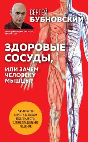zdorovye-sosudy-ili-zachem-cheloveku-myshcy