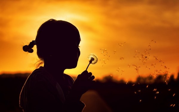 Best Mixed Wallpapers Pack #467-468