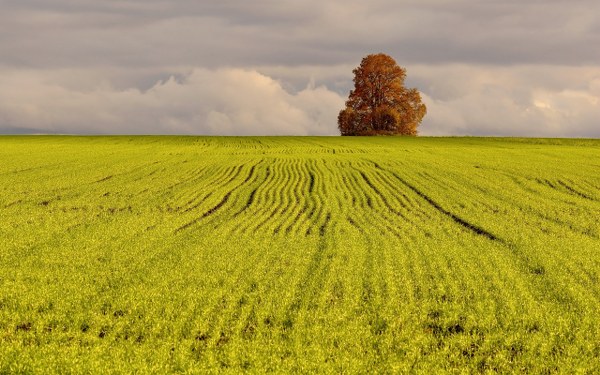Best Mixed Wallpapers Pack #467-468