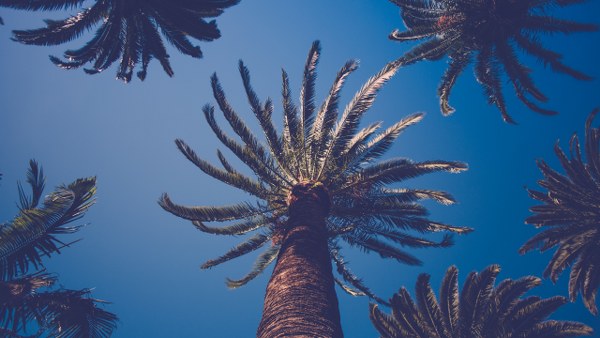 New Mixed HD Wallpapers Pack 347