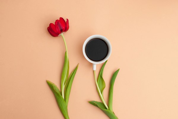 New Mixed HD Wallpapers Pack 372