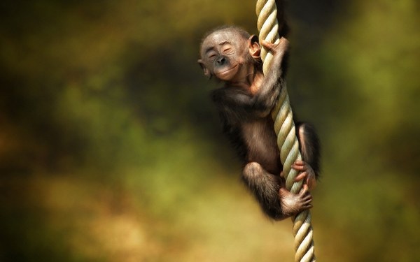 New Mixed HD Wallpapers Pack 282