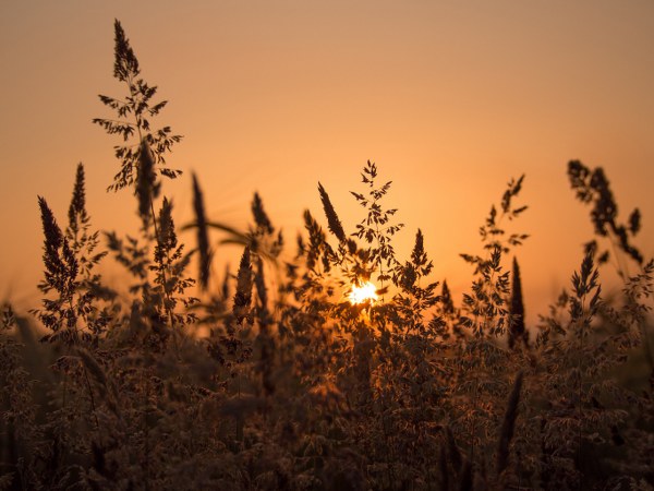 New Mixed HD Wallpapers Pack 185