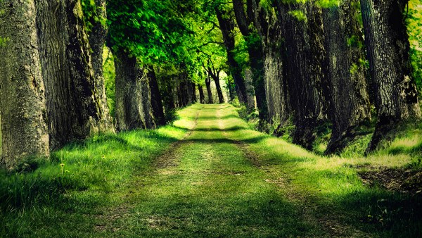 New Mixed HD Wallpapers Pack 114
